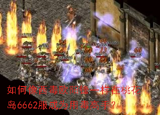 如何像西毒欧阳锋一样在桃花岛6662服成为用毒高手? 如何像西毒欧阳锋一样在桃花岛6662服成为用毒高手?