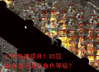 如何快速提升1.85狂雷合击手游版角色等级? 如何快速提升1.85狂雷合击手游版角色等级?