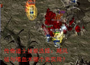 �����ʿ����ѡ��쫷�������Ѫ���ĸ���ʵ�ã�