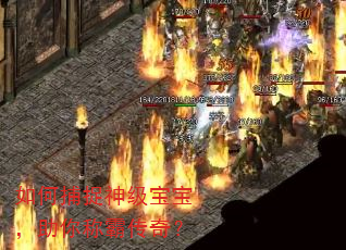 如何捕捉神级宝宝,助你称霸传奇? 如何捕捉神级宝宝,助你称霸传奇?