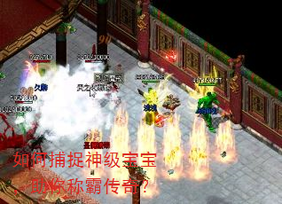 如何捕捉神级宝宝,助你称霸传奇? 如何捕捉神级宝宝,助你称霸传奇?