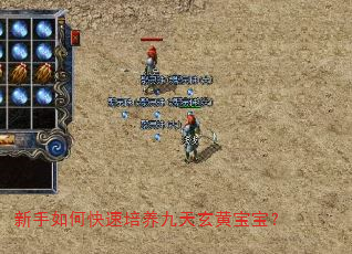 新手如何快速培养九天玄黄宝宝? 新手如何快速培养九天玄黄宝宝?