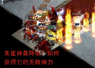 朱雀神兽降临?如何获得它的无敌神力 朱雀神兽降临?如何获得它的无敌神力