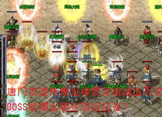 唐门攻速传奇龙神荒芜挑战五百亿BOSS能爆出哪些顶级装备? 唐门攻速传奇龙神荒芜挑战五百亿BOSS能爆出哪些顶级装备?