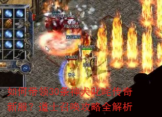 如何带领30条神犬叱咤传奇新服?道士召唤攻略全解析 如何带领30条神犬叱咤传奇新服?道士召唤攻略全解析