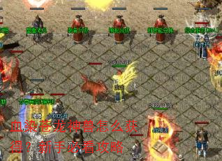 血染苍龙神兽怎么获得?新手必看攻略 血染苍龙神兽怎么获得?新手必看攻略