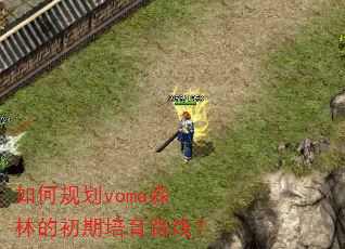 ��ι滮vomaɭ�ֵĳ�������·�ߣ�