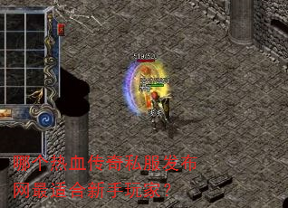 哪个热血传奇私服发布网最适合新手玩家? 哪个热血传奇私服发布网最适合新手玩家?