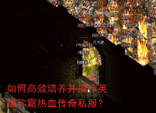 ��θ�Ч����������Ӣ�۳ư���Ѫ����˽����