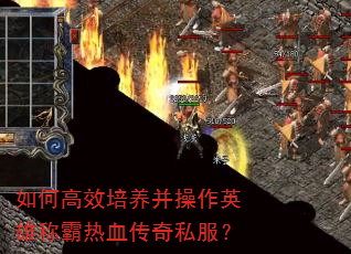 ��θ�Ч����������Ӣ�۳ư���Ѫ����˽����
