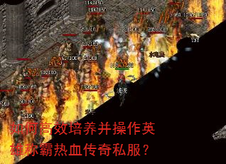 ��θ�Ч����������Ӣ�۳ư���Ѫ����˽����