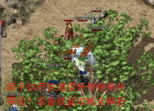 新手如何快速提升传奇角色等级?装备获取攻略全解析 新手如何快速提升传奇角色等级?装备获取攻略全解析