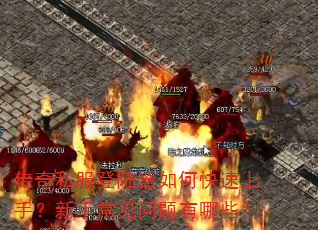 ����˽����½����ο������֣����ֳ�����������Щ��
