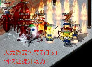 火龙微变传奇新手如何快速提升战力? 火龙微变传奇新手如何快速提升战力?