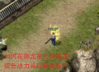 如何在御龙在天中快速提升战力并称霸全服? 如何在御龙在天中快速提升战力并称霸全服?