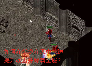 如何在御龙在天中快速提升战力并称霸全服? 如何在御龙在天中快速提升战力并称霸全服?
