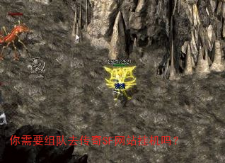 你需要组队去传奇SF网站挂机吗? 你需要组队去传奇SF网站挂机吗?