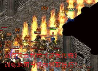 如何高效利用《迷失传奇》训练地图与怪物抓取技巧? 如何高效利用《迷失传奇》训练地图与怪物抓取技巧?