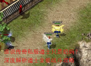 谁说传奇私服道士只是奶妈?深度解析道士全能战斗攻略 谁说传奇私服道士只是奶妈?深度解析道士全能战斗攻略