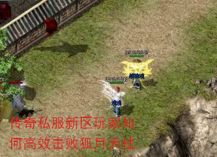 传奇私服新区玩家如何高效击败狐月天柱 传奇私服新区玩家如何高效击败狐月天柱