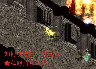 如何快速提升玫瑰传奇私服角色等级? 如何快速提升玫瑰传奇私服角色等级?