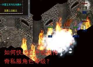 如何快速提升玫瑰传奇私服角色等级? 如何快速提升玫瑰传奇私服角色等级?