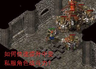 如何快速提升中变私服角色战斗力? 如何快速提升中变私服角色战斗力?