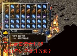 星王合击传奇1.85版如何快速提升等级? 星王合击传奇1.85版如何快速提升等级?