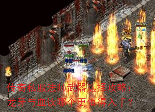 传奇私服法师武器选择攻略:龙牙与血饮哪个更值得入手? 传奇私服法师武器选择攻略:龙牙与血饮哪个更值得入手?