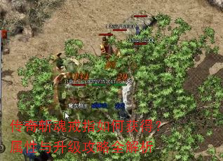 传奇斩魂戒指如何获得?属性与升级攻略全解析 传奇斩魂戒指如何获得?属性与升级攻略全解析