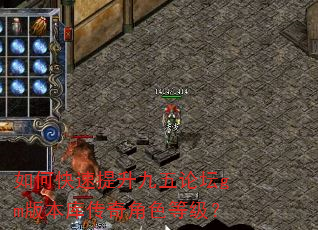如何快速提升九五论坛gm版本库传奇角色等级? 如何快速提升九五论坛gm版本库传奇角色等级?