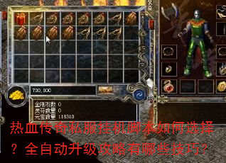 热血传奇私服挂机脚本如何选择?全自动升级攻略有哪些技巧? 热血传奇私服挂机脚本如何选择?全自动升级攻略有哪些技巧?