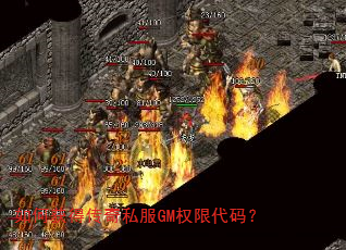 ��λ�ô���˽��GMȨ�޴��룿