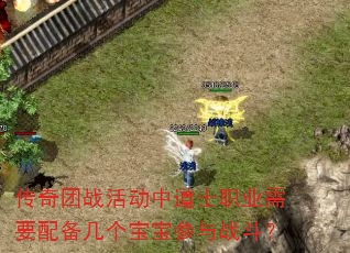 传奇团战活动中道士职业需要配备几个宝宝参与战斗? 传奇团战活动中道士职业需要配备几个宝宝参与战斗?