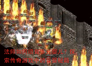 法师如何培育多元婴儿?探索传奇游戏中的育婴秘籍 法师如何培育多元婴儿?探索传奇游戏中的育婴秘籍