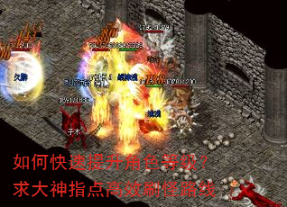 如何快速提升角色等级?求大神指点高效刷怪路线 如何快速提升角色等级?求大神指点高效刷怪路线
