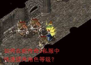 如何在新传奇3私服中快速提升角色等级? 如何在新传奇3私服中快速提升角色等级?