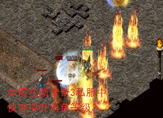 如何在新传奇3私服中快速提升角色等级? 如何在新传奇3私服中快速提升角色等级?