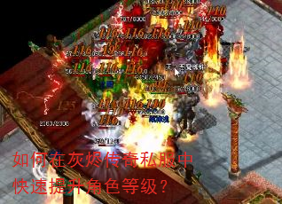 如何在灰烬传奇私服中快速提升角色等级? 如何在灰烬传奇私服中快速提升角色等级?