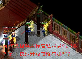 如何选择韩服传奇私服最强职业?新手快速升级攻略有哪些? 如何选择韩服传奇私服最强职业?新手快速升级攻略有哪些?