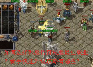 ���ѡ�񺫷�����˽����ǿְҵ�����ֿ���������������Щ��