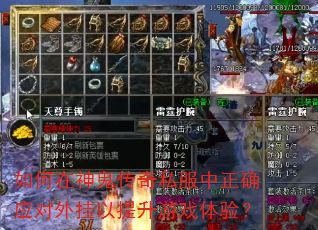如何在神鬼传奇私服中正确应对外挂以提升游戏体验? 如何在神鬼传奇私服中正确应对外挂以提升游戏体验?