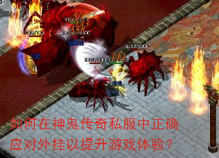������������˽������ȷӦ�������������Ϸ���飿
