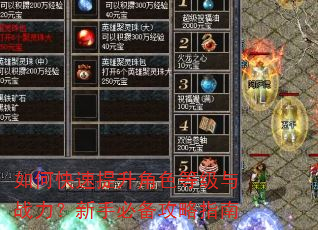 如何快速提升角色等级与战力?新手必备攻略指南 如何快速提升角色等级与战力?新手必备攻略指南