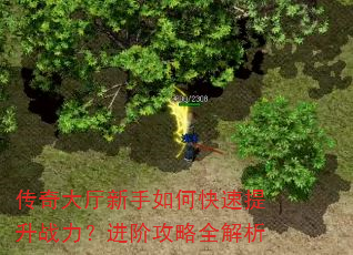 传奇大厅新手如何快速提升战力?进阶攻略全解析 传奇大厅新手如何快速提升战力?进阶攻略全解析