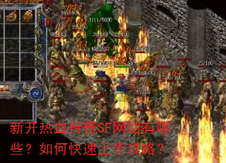 新开热血传奇SF网站有哪些?如何快速上手攻略? 新开热血传奇SF网站有哪些?如何快速上手攻略?