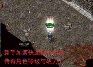 新手如何快速提升仙剑传奇角色等级与战力? 新手如何快速提升仙剑传奇角色等级与战力?