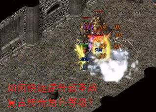 如何快速提升新圣妖复古传奇角色等级? 如何快速提升新圣妖复古传奇角色等级?