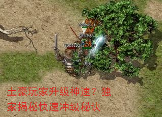 土豪玩家升级神速?独家揭秘快速冲级秘诀 土豪玩家升级神速?独家揭秘快速冲级秘诀