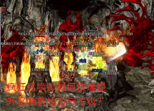疯狂召唤师如何快速提升召唤兽战力与等级? 疯狂召唤师如何快速提升召唤兽战力与等级?